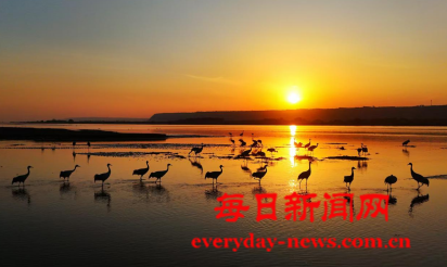 案1111111111111.png 案1111111111111.png