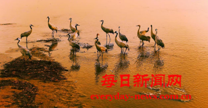 案3333333.png 案3333333.png