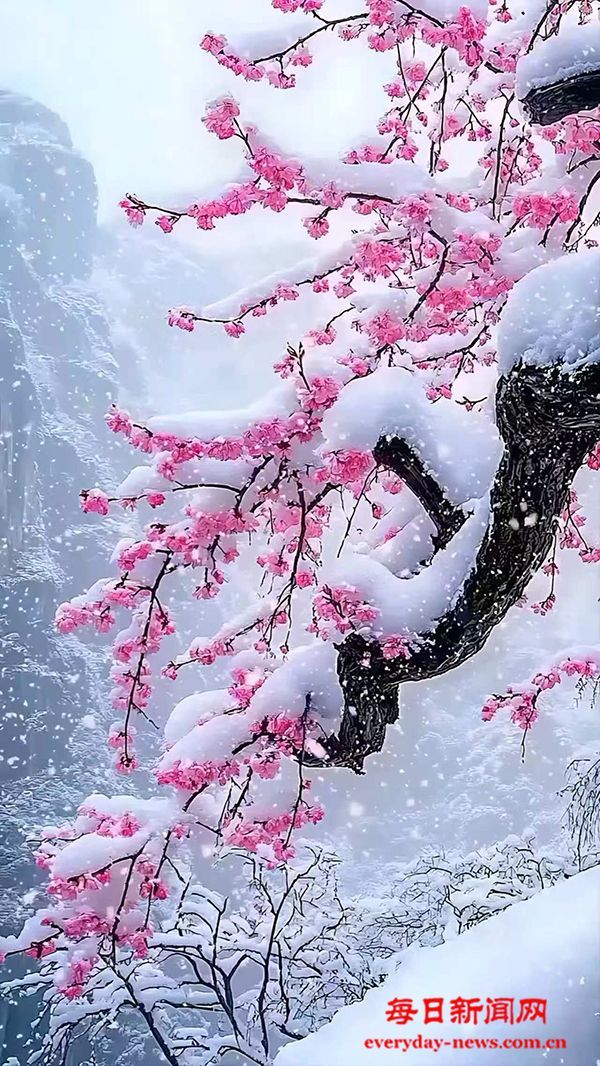 七律（冬至）-作者：李敏谦