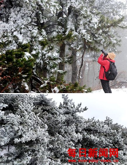 万荣：春雪映孤峰 雾凇醉游人
