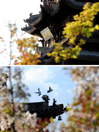 案111222.png 案111222.png