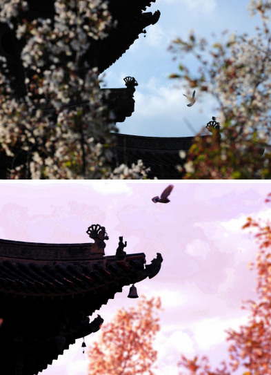 案3344.png 案3344.png