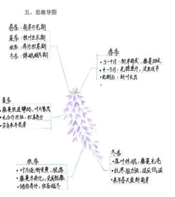 去12.png
