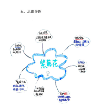 去17.png