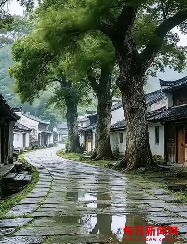 仁言任语 “鬼火”与伟大：海林哥