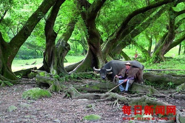 在《中国国家地理》做摄影师