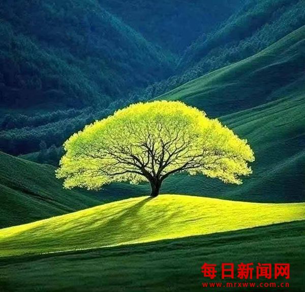 222.jpg 222.jpg