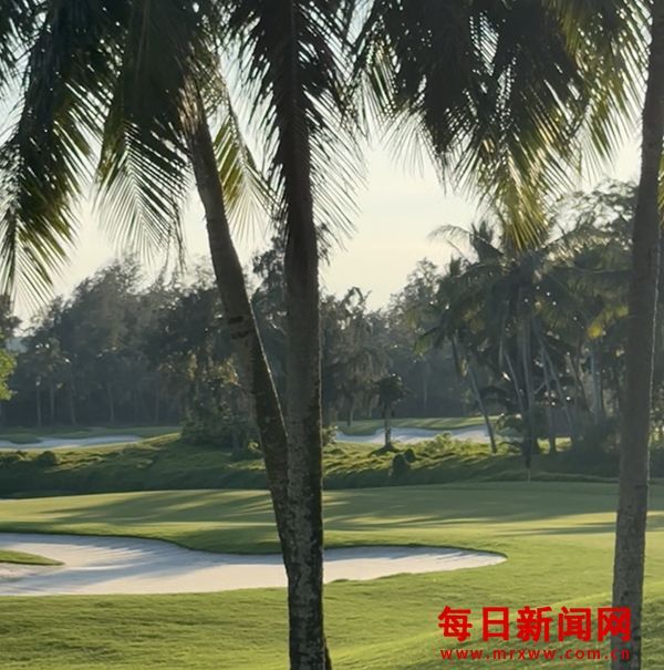 非遗守初心 品牌绽荣光｜吴川橘红传人张伟