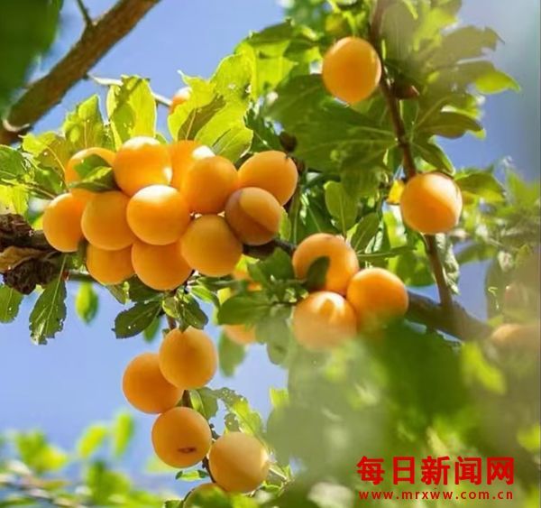奋力追梦 前路可期