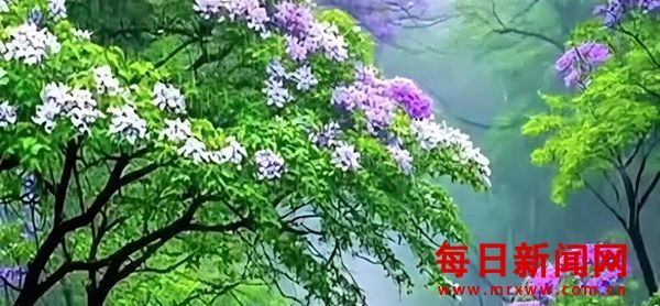 陕西深化开展“公证规范优质”行动