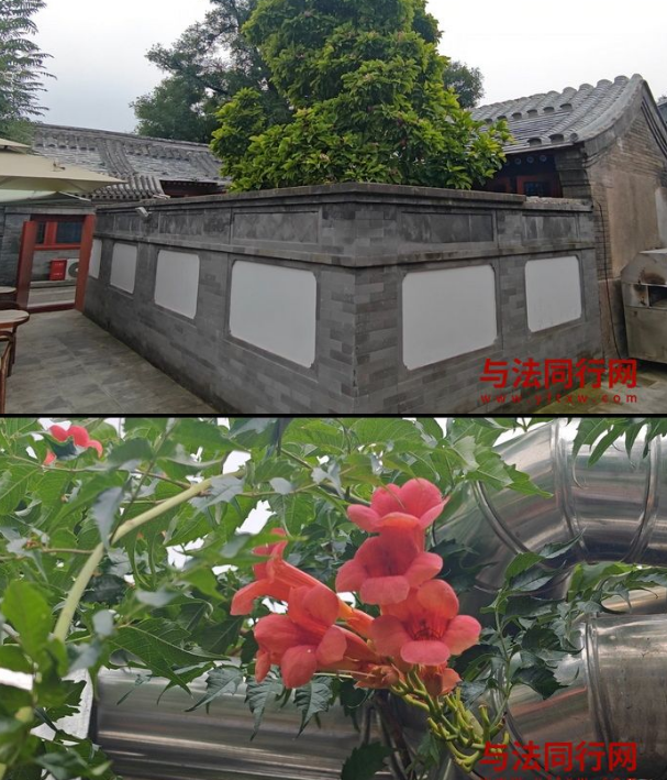 在2233.png 在2233.png
