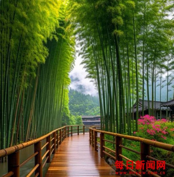 筑牢秦岭生态安全屏障 加快绿色发展步伐