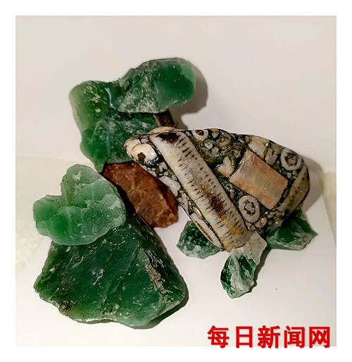 图片2.png 图片2.png